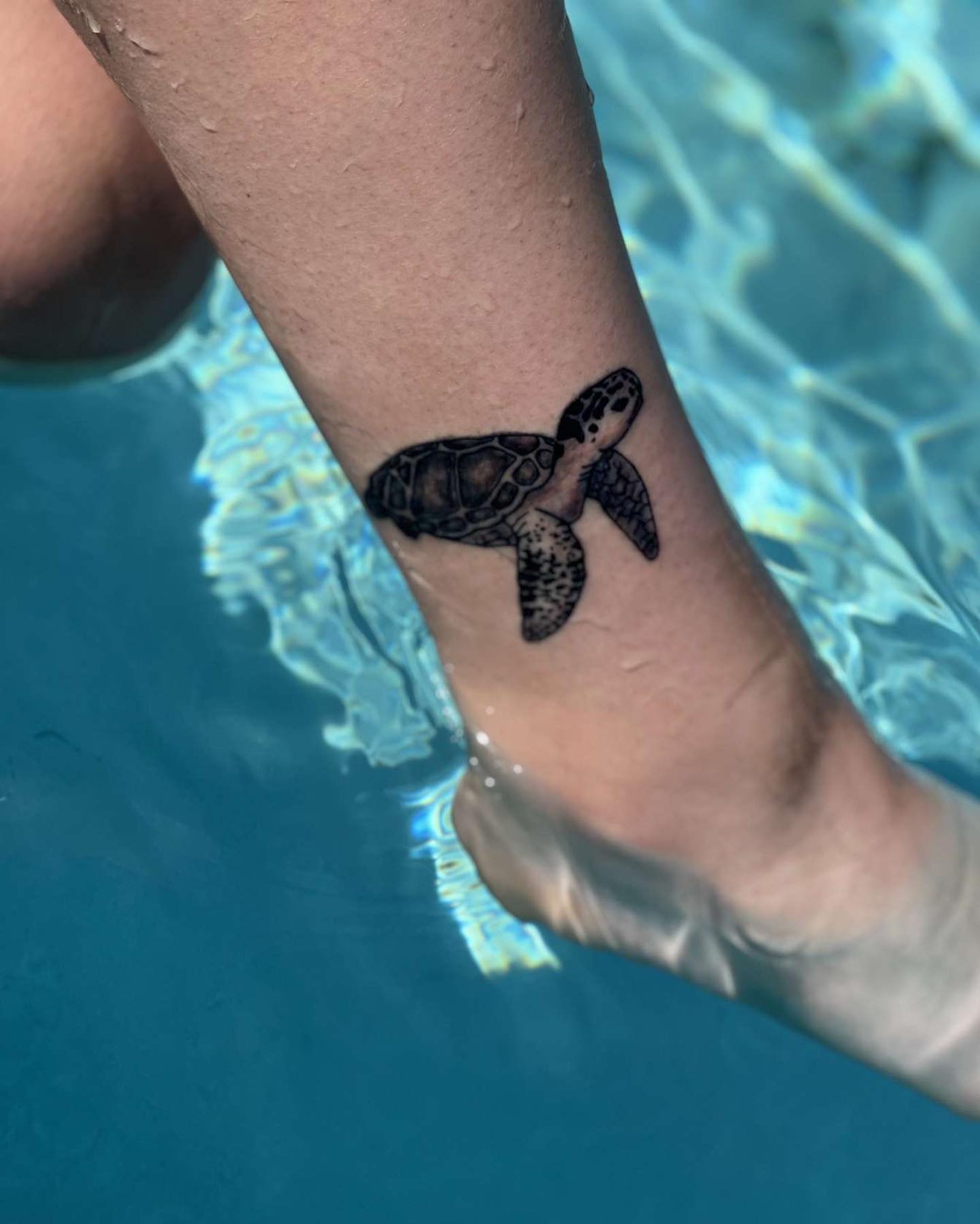 Tortuga Tatuaje de Tobillo