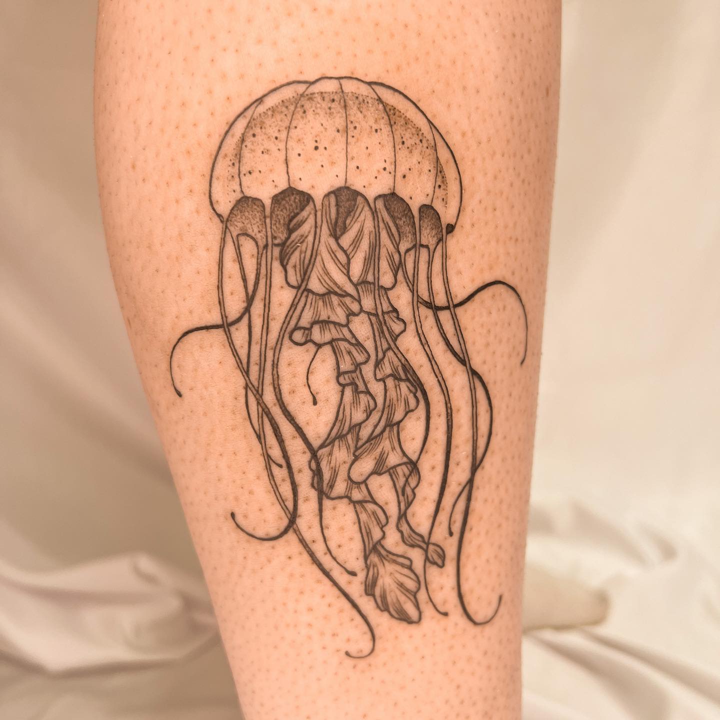 Ideas para tatuajes de becerro en tinta negra.