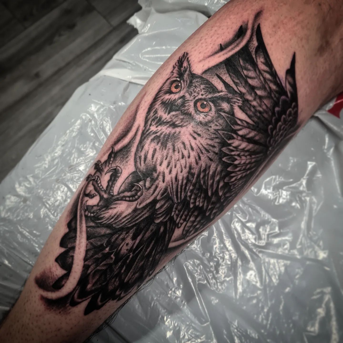 Tatuaje de Lechón Idea de Búho
