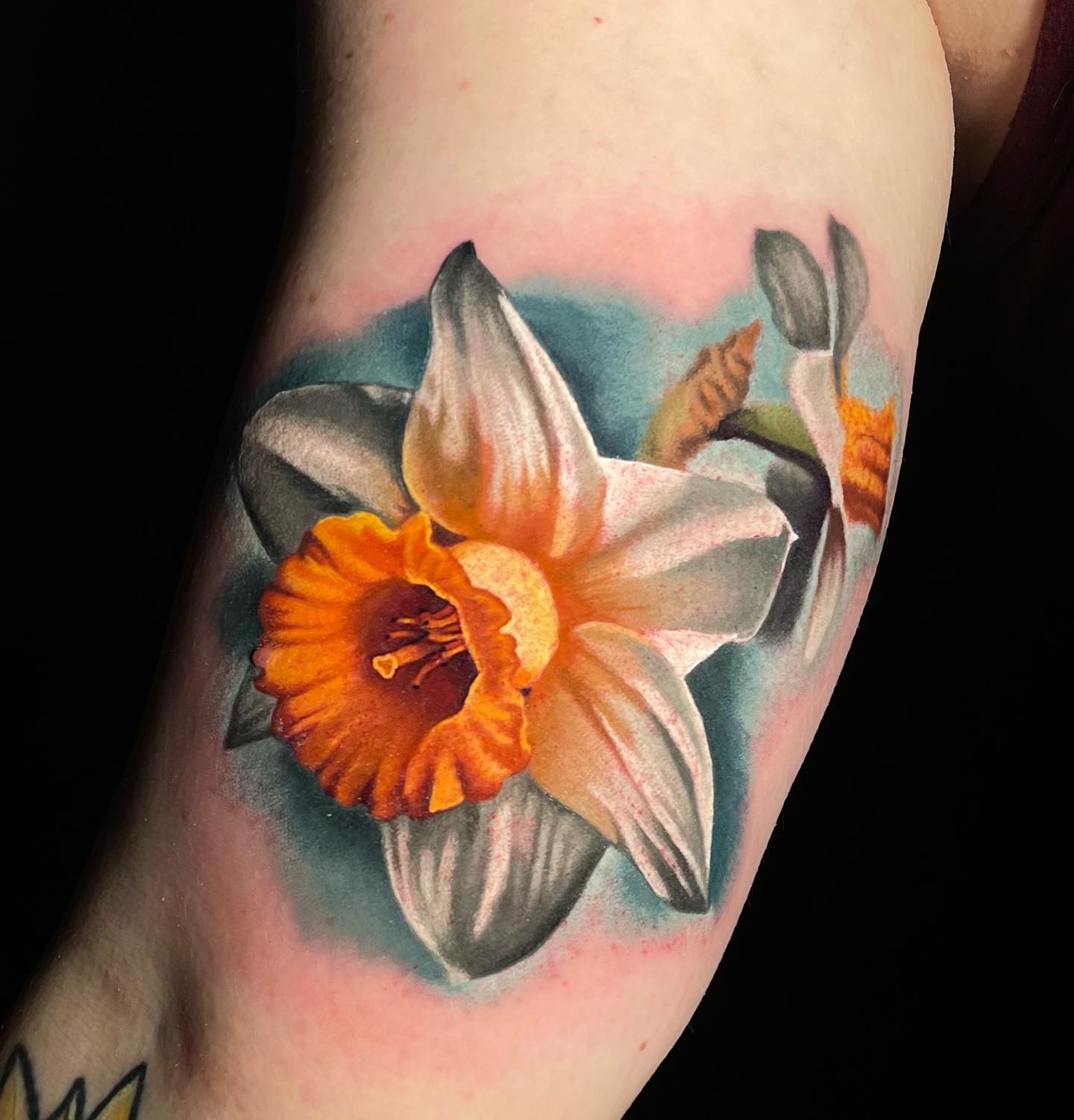 Tatuaje realista de narciso