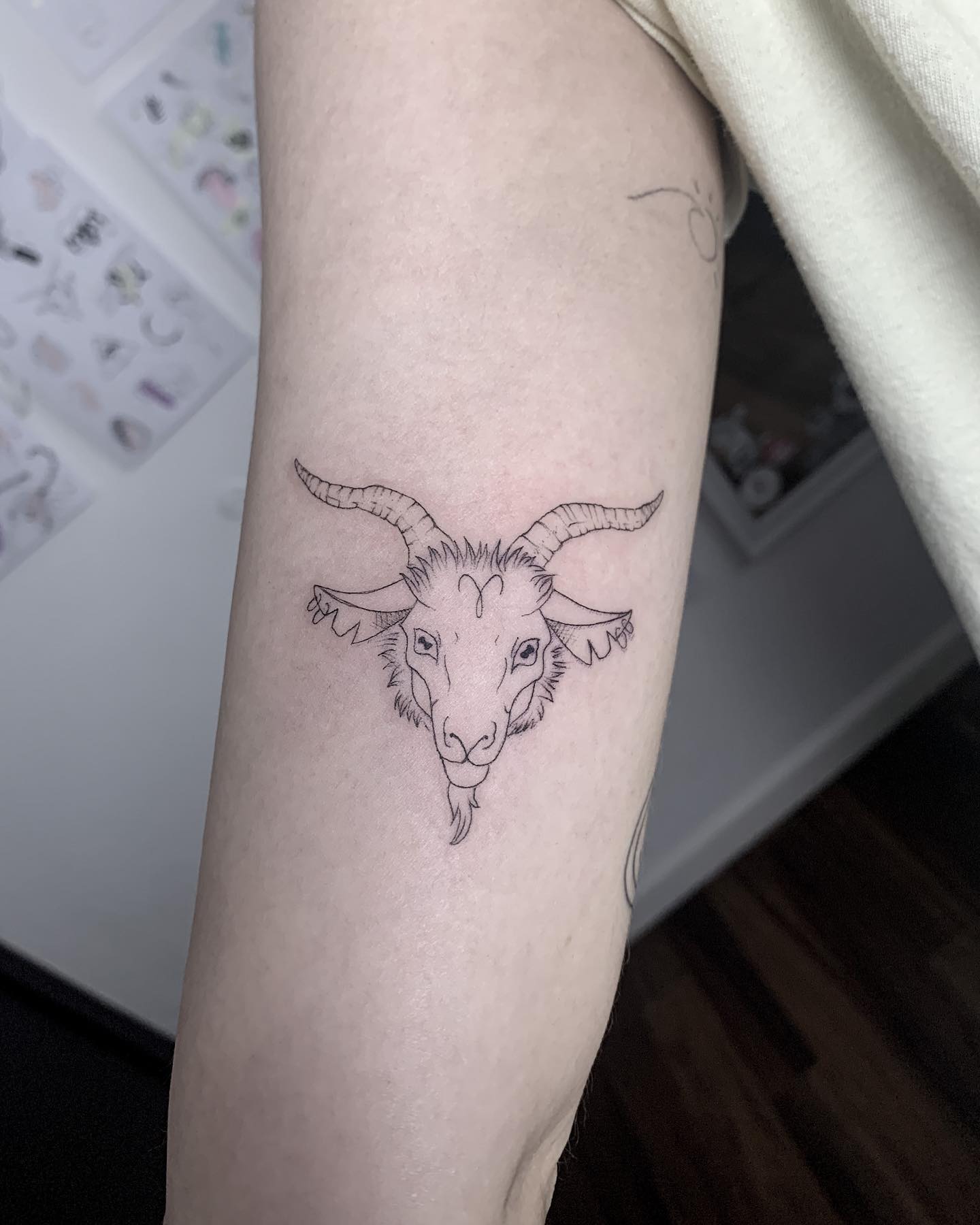 Contorno de Aries Tatuaje en el Brazo