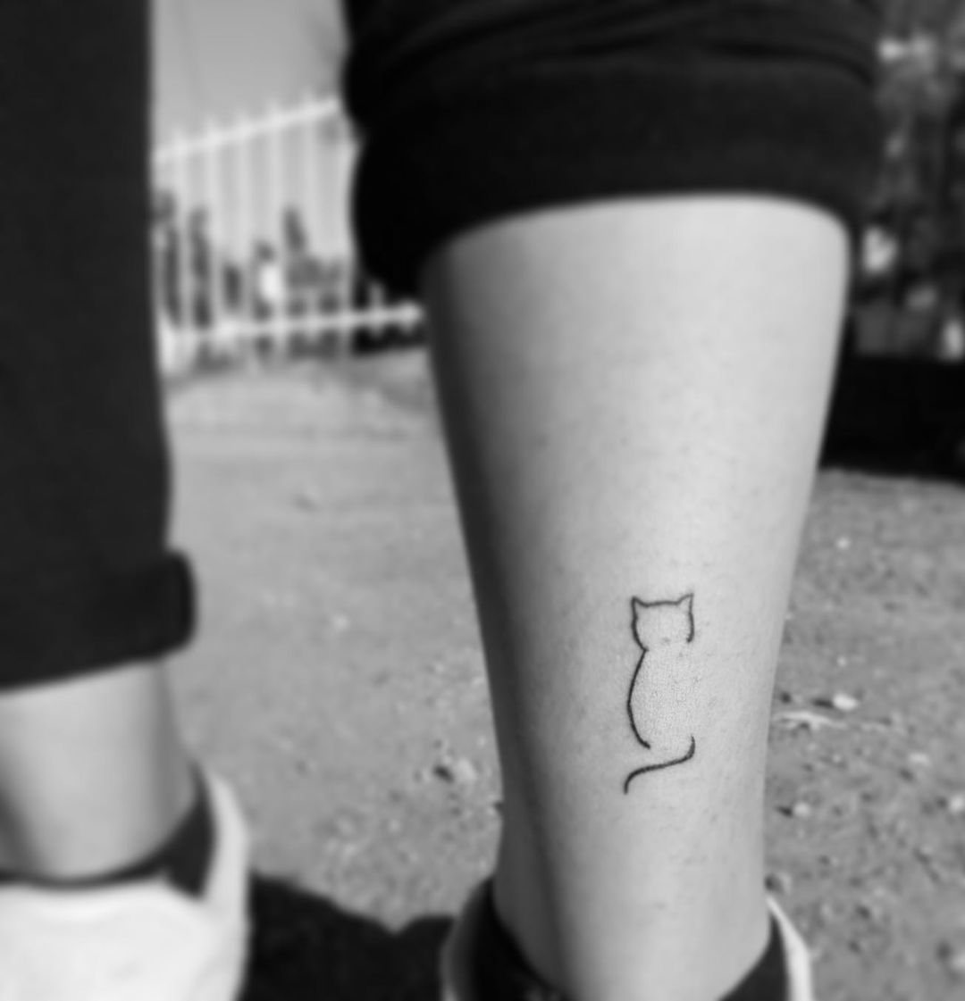 Gato