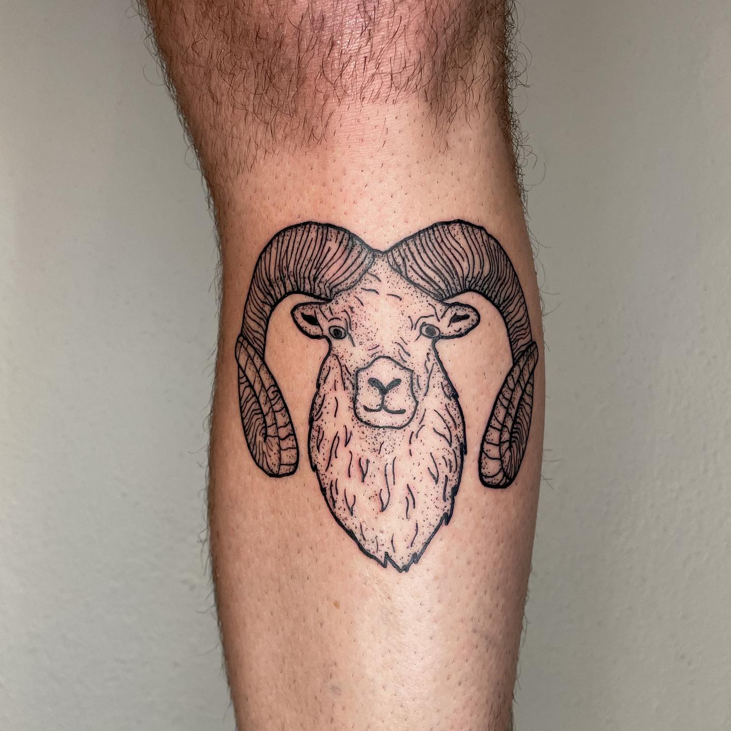 Pequeño Tatuaje de Aries con Ternera