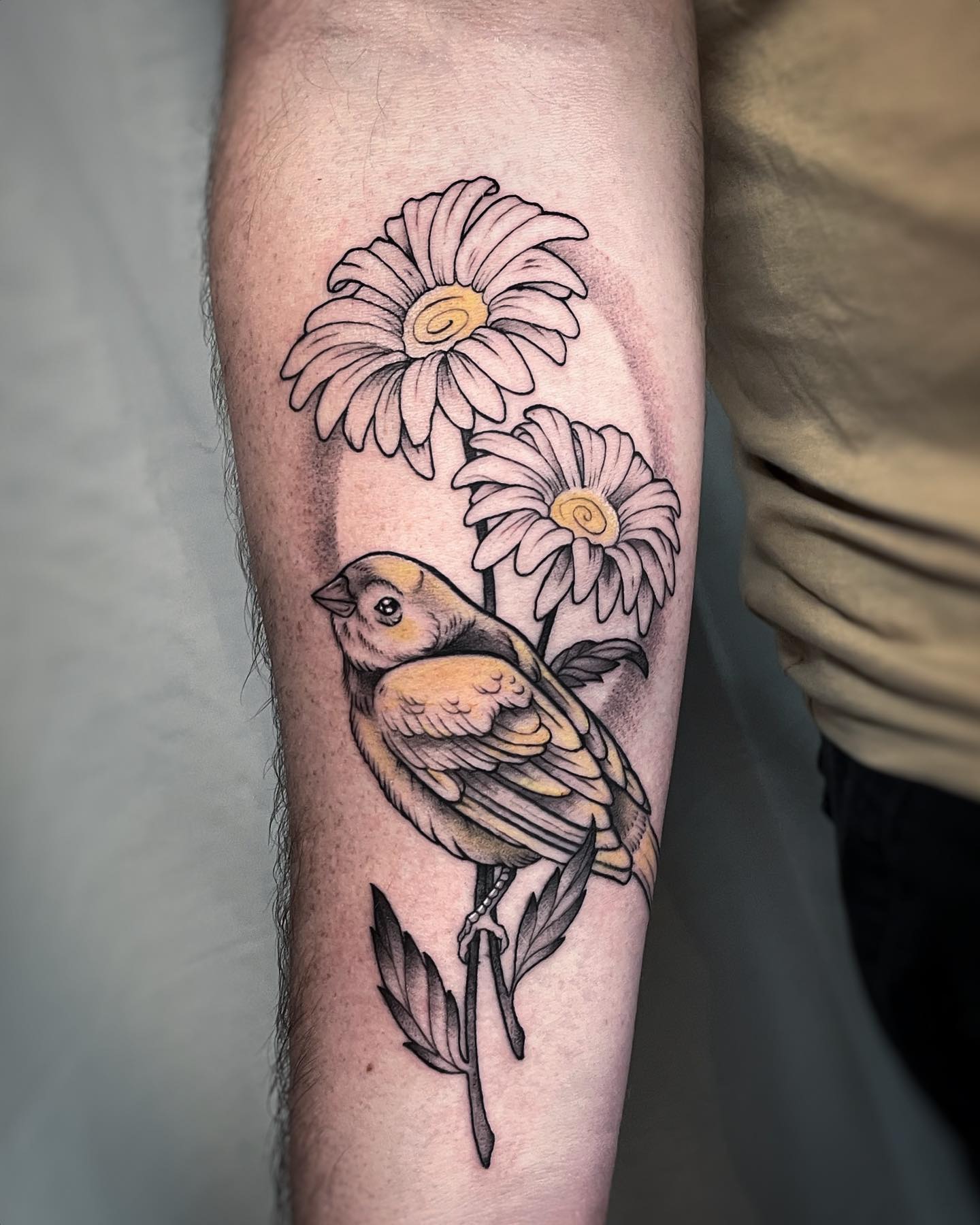 Tatuaje de Margarita de Antebrazo Grande.