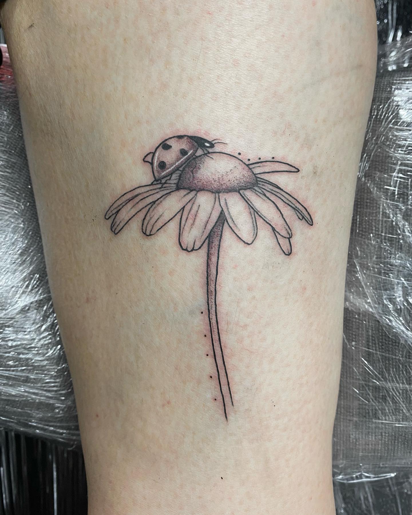 Tatuaje de margarita en tinta negra.