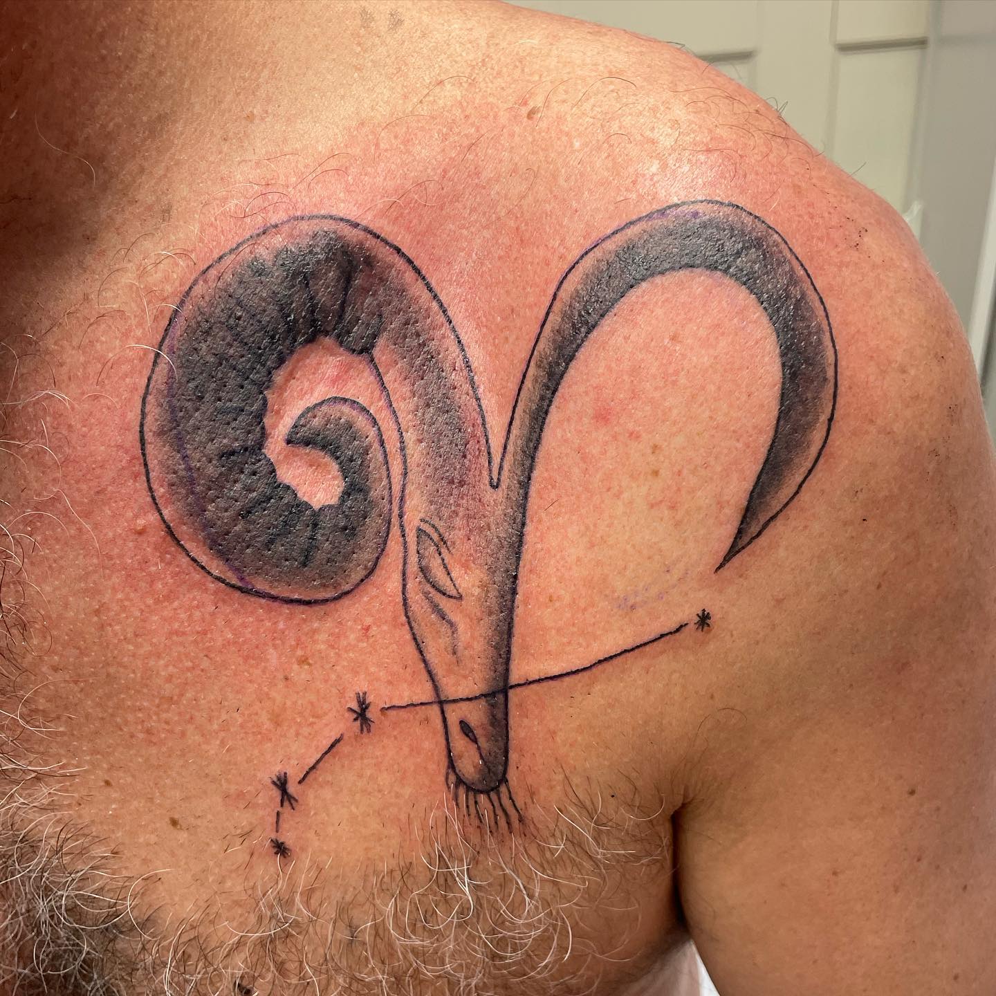 Tatuaje del Signo Zodiacal Aries