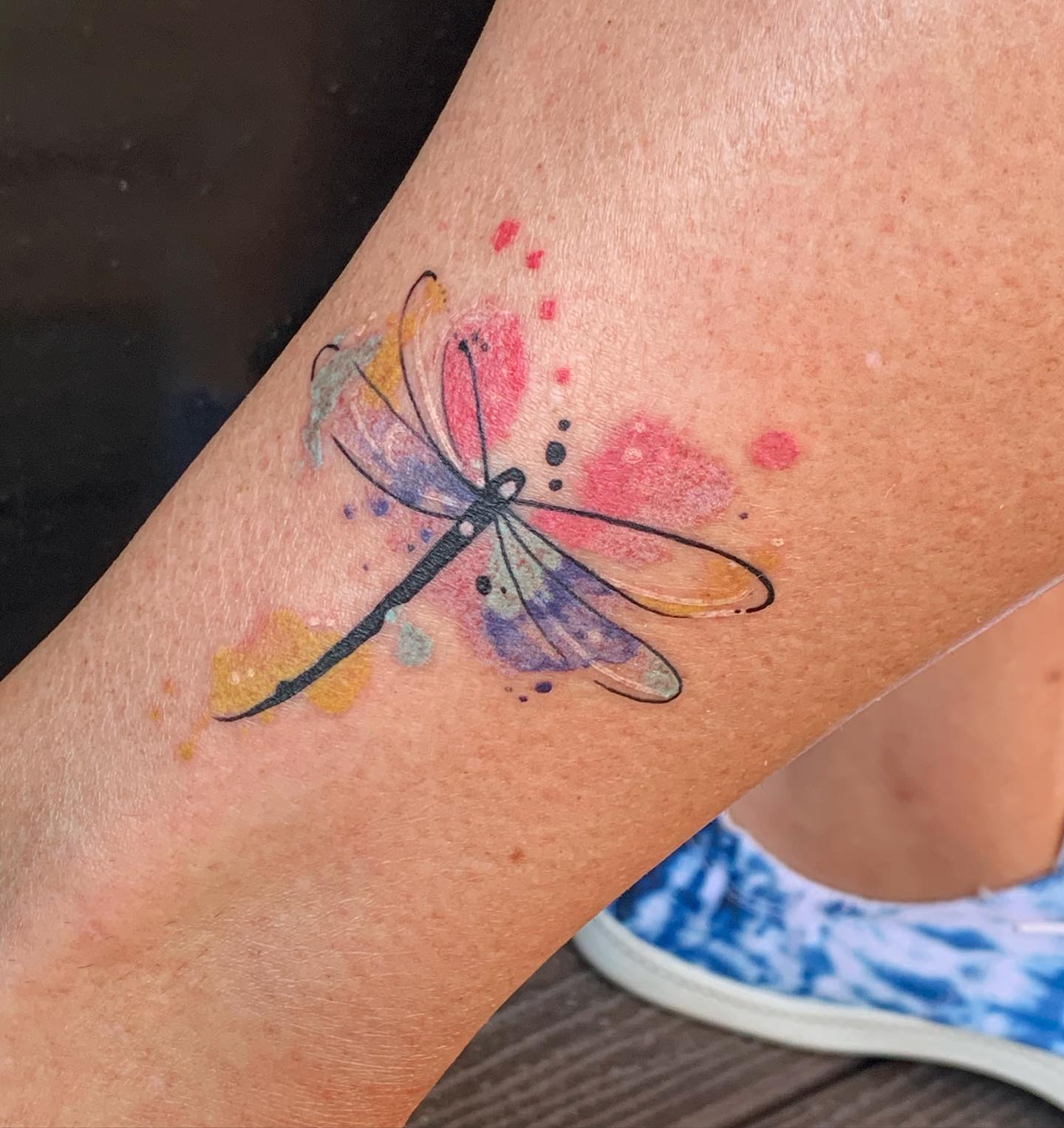 Dragón Mosca Tatuaje Arte Colorido