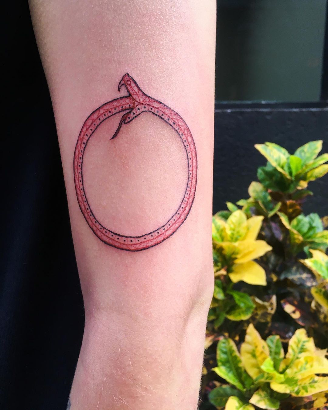 Pequeño Tatuaje de Ouroboros Rojo