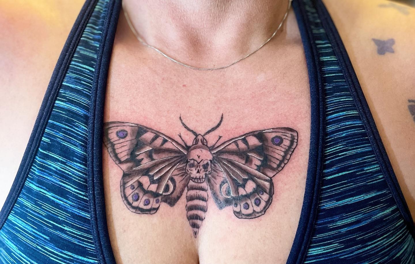 Polilla Negra Pecho Idea