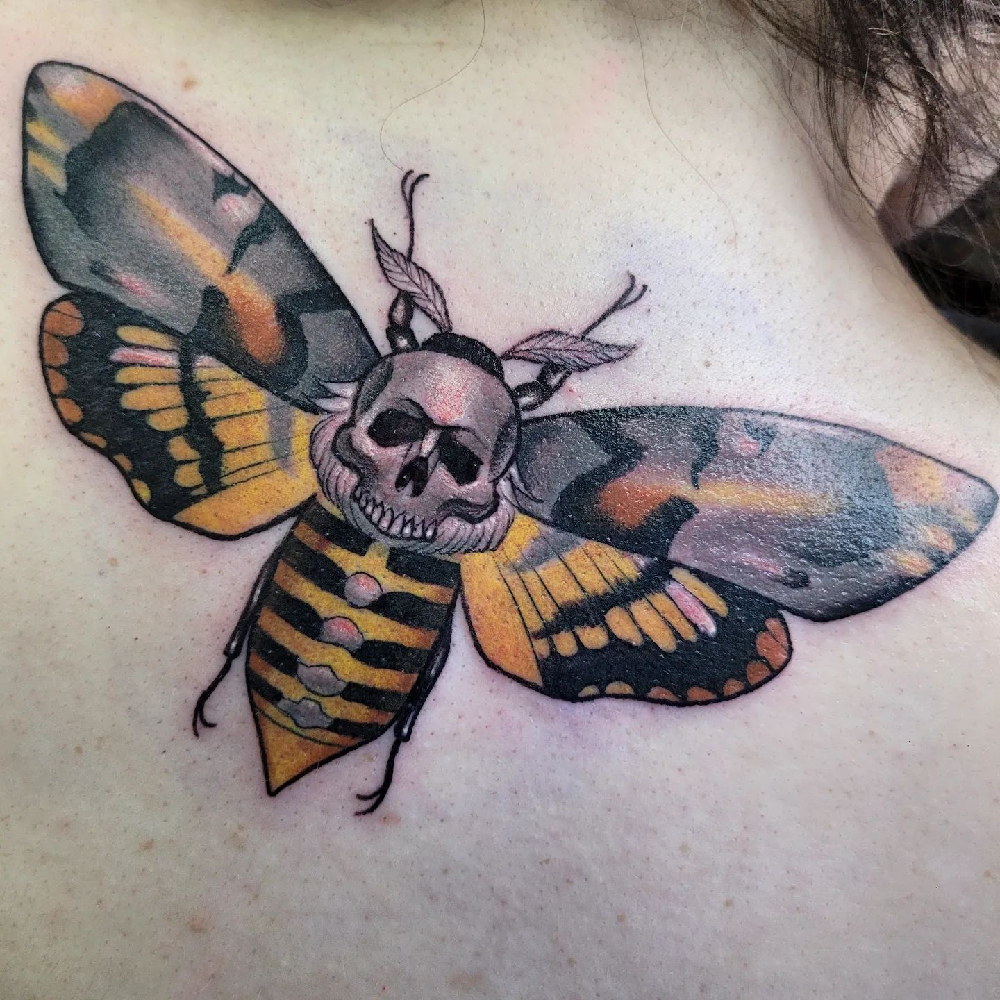 Tatuaje de Polilla Negra Amarilla Brillante