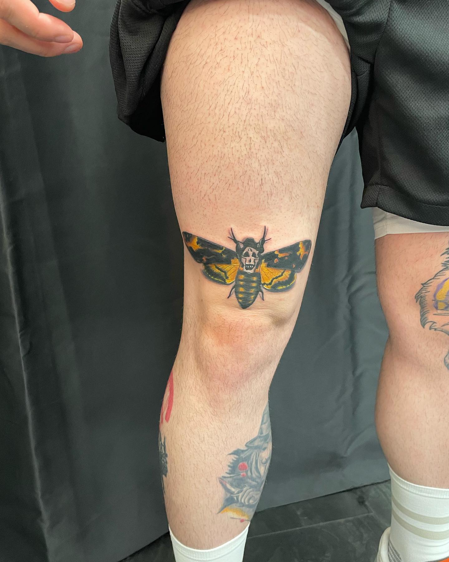 Tatuaje de Polilla Negra para Hombres