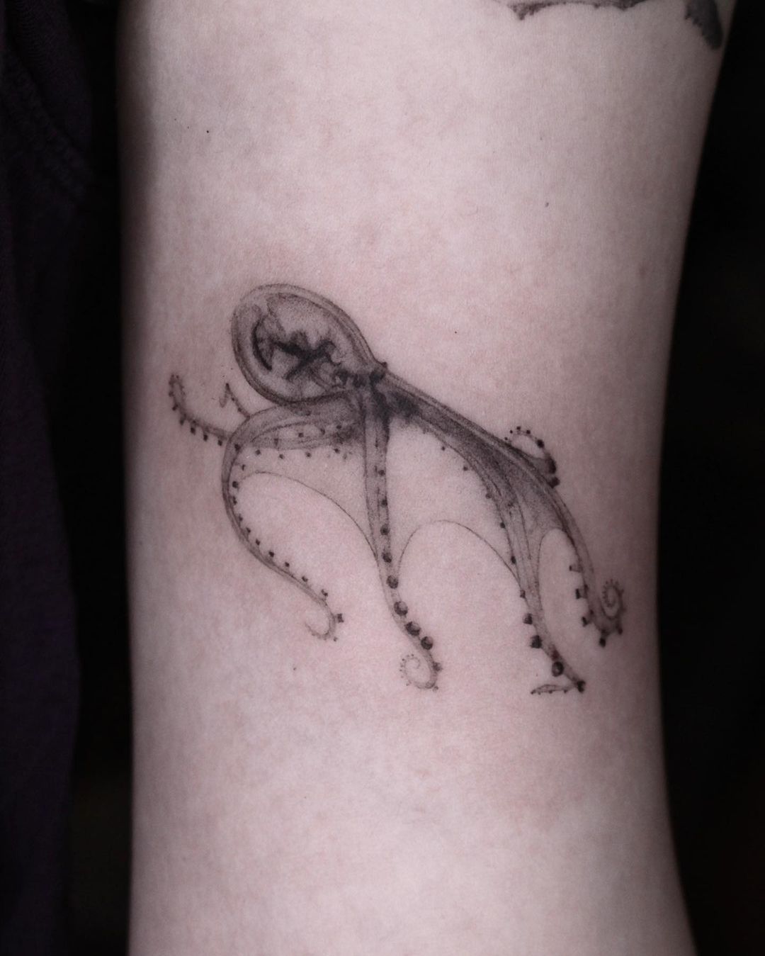 Tatuaje de pulpo de cristal