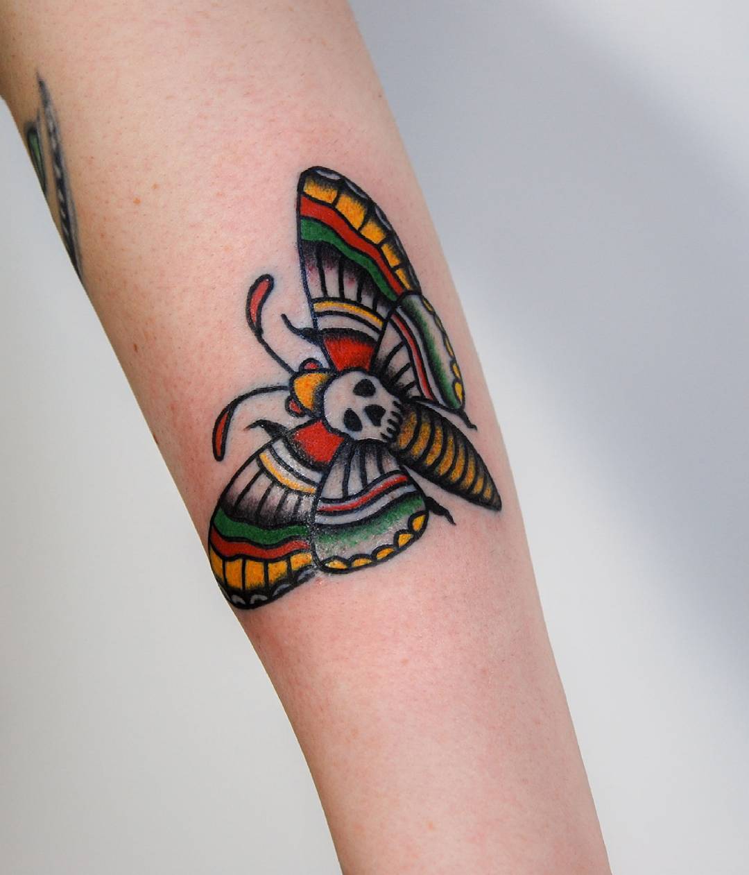 Todos los Colores Tatuaje Polilla Negra