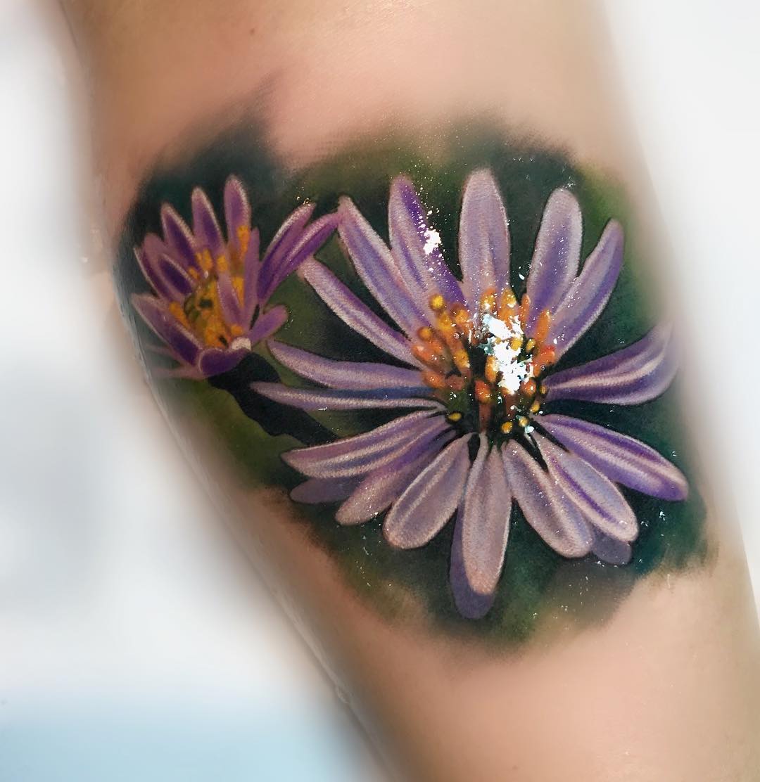 Flor de Asteroide de Color Púrpura Claro