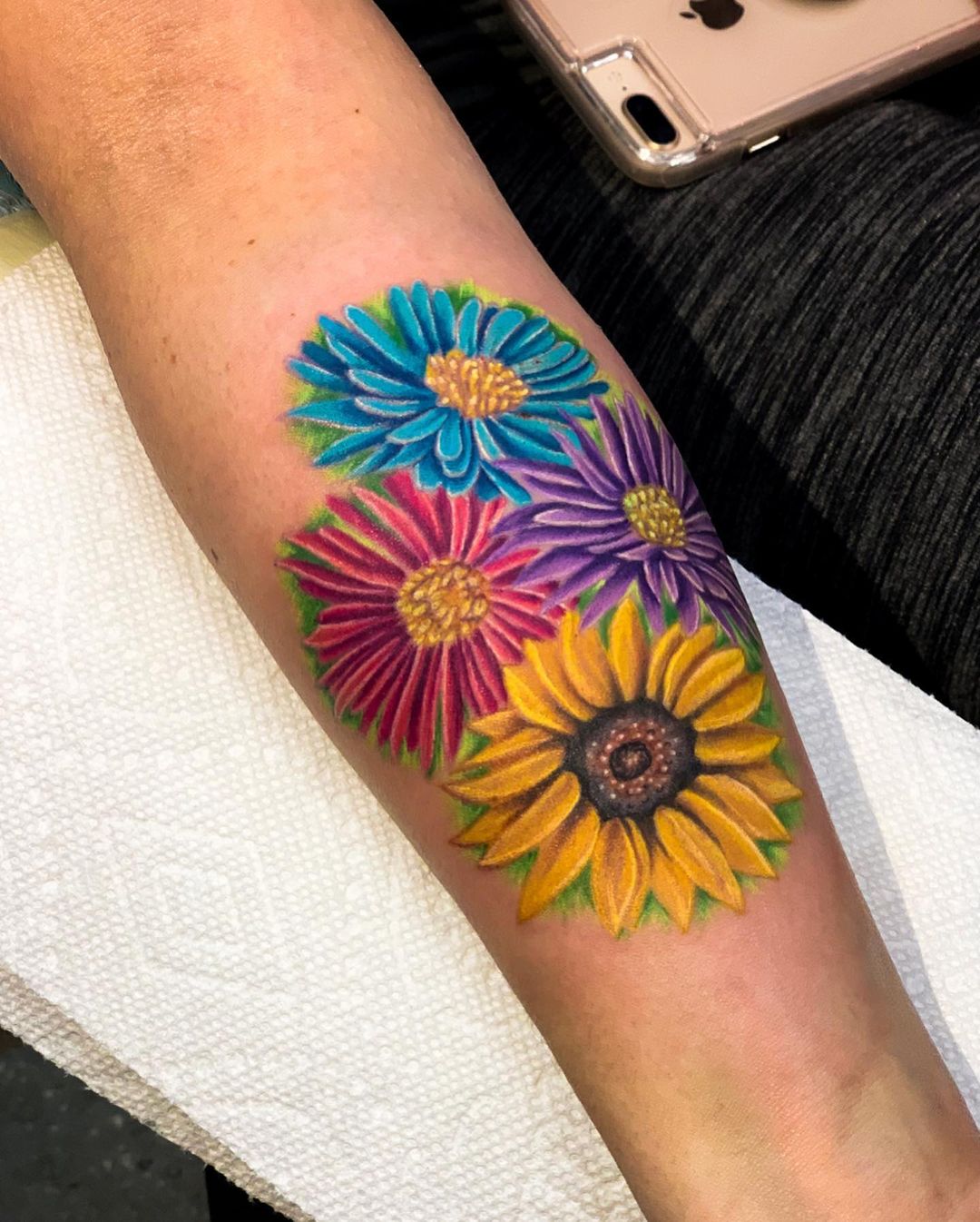 Flores de Aster Coloridas