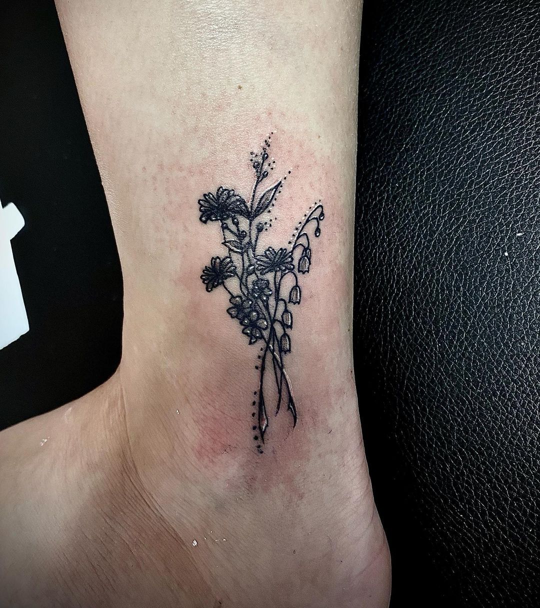 Flores de aster simples