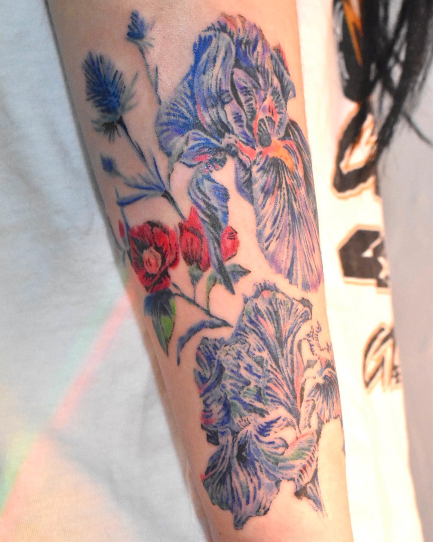 Cubierta de tattoo azul y roja.