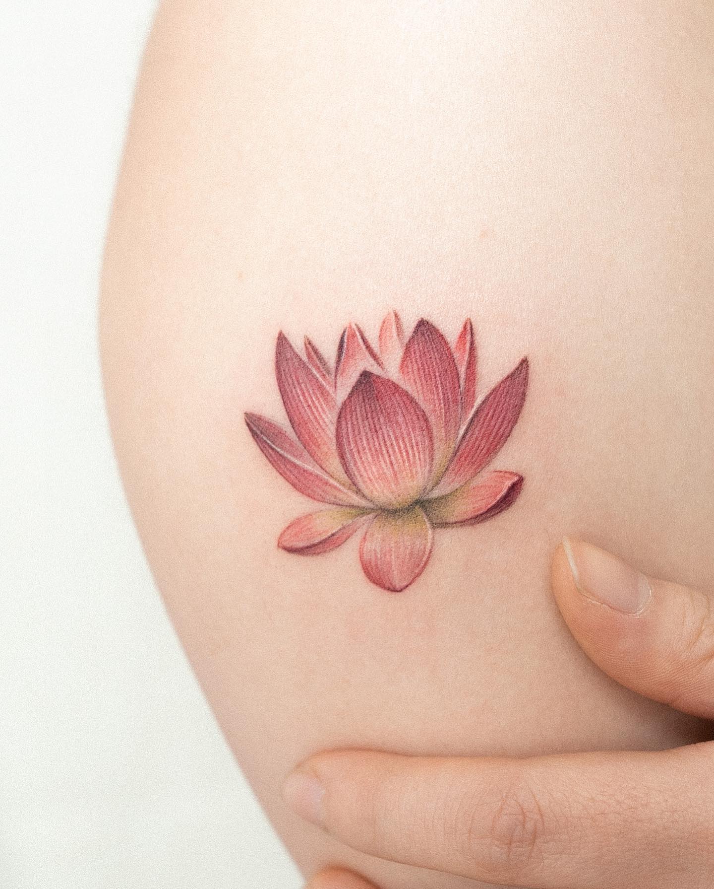 Tatuaje de Loto Ligero y Femenino