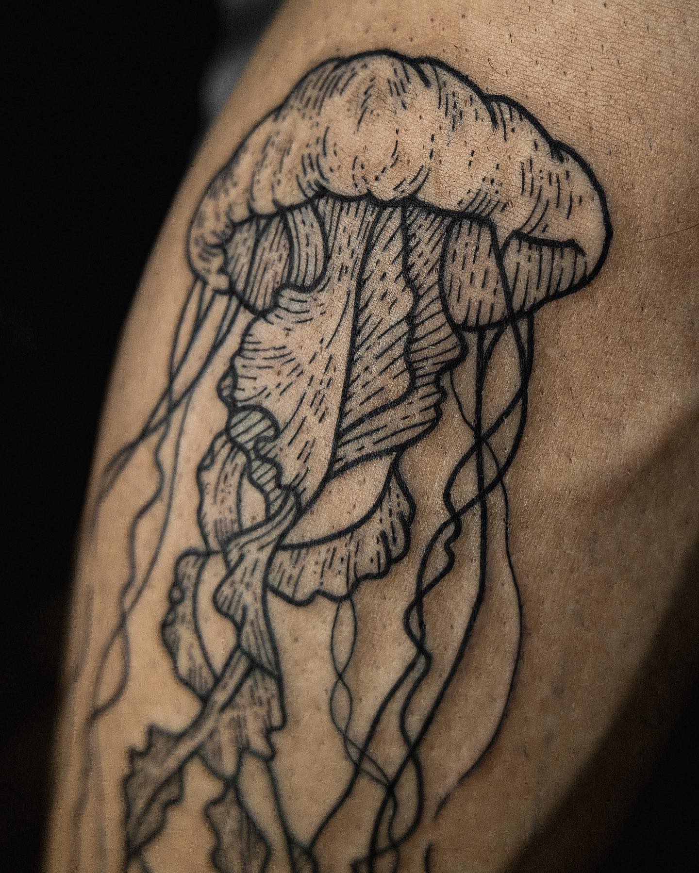 Tatuaje de medusa creativa