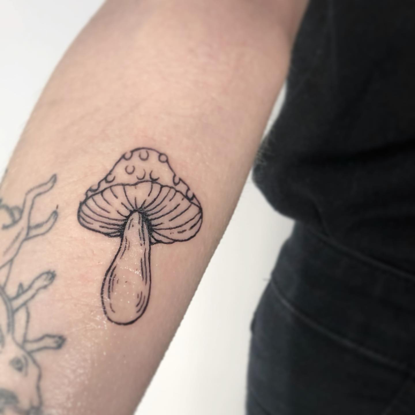 Tatuaje divertido de setas brujeriles