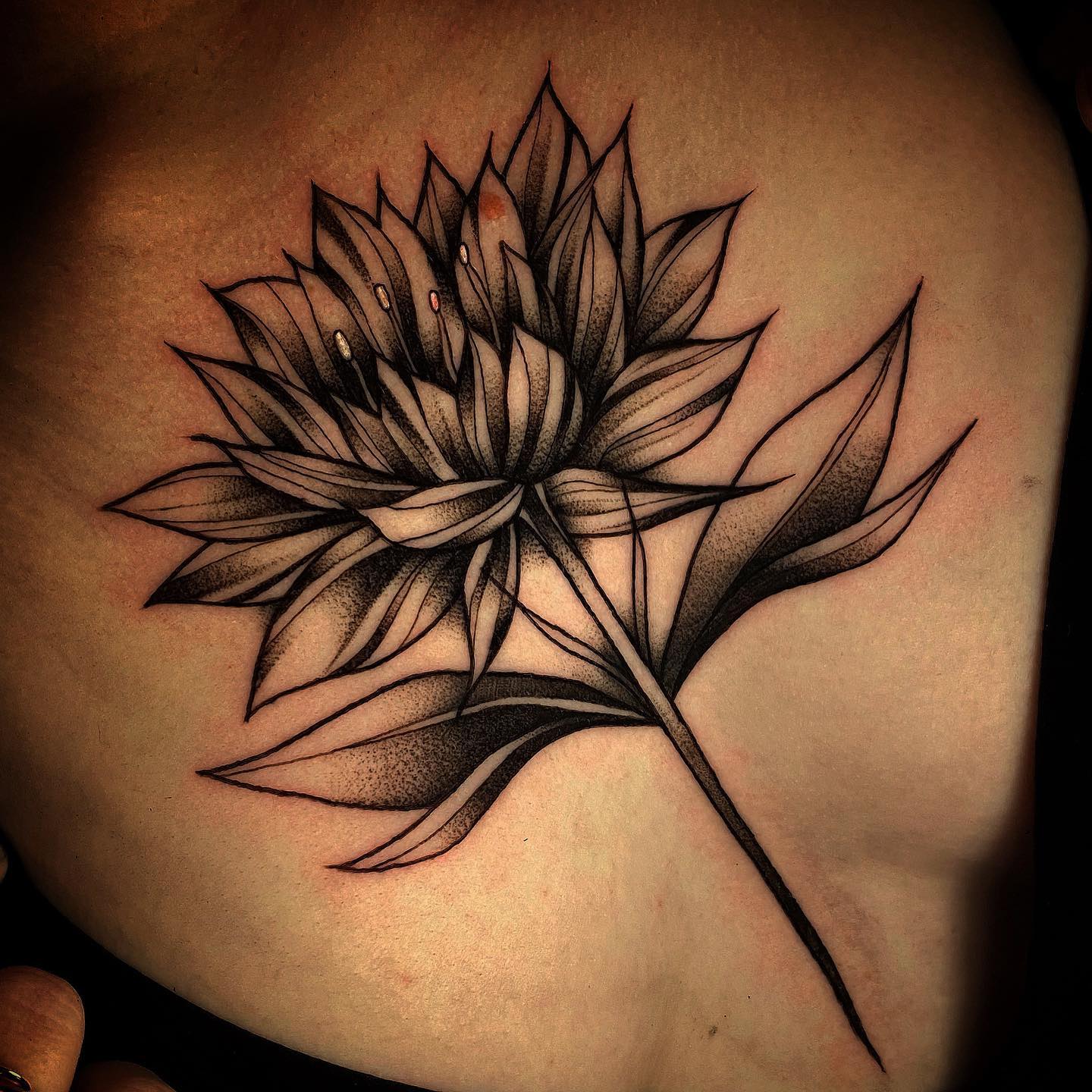 Flor de tinta negra