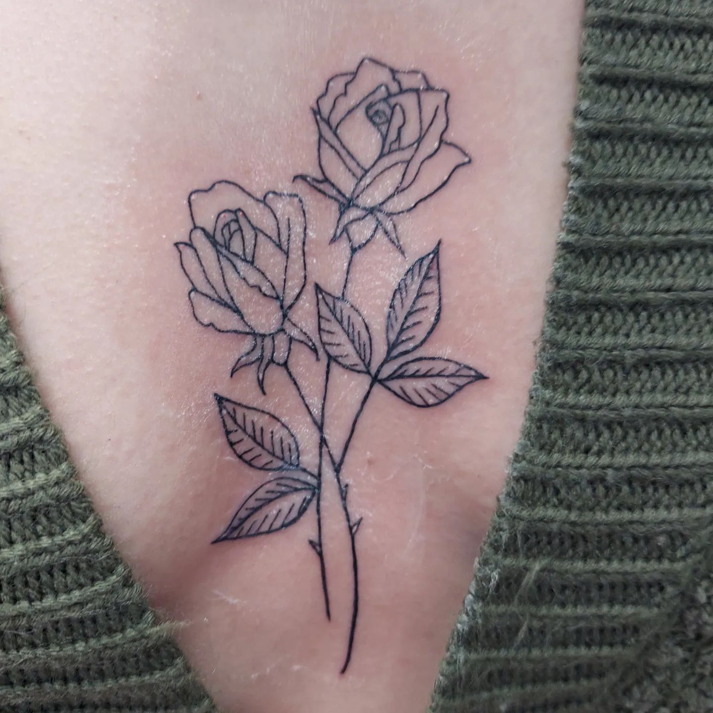 Varias rosas