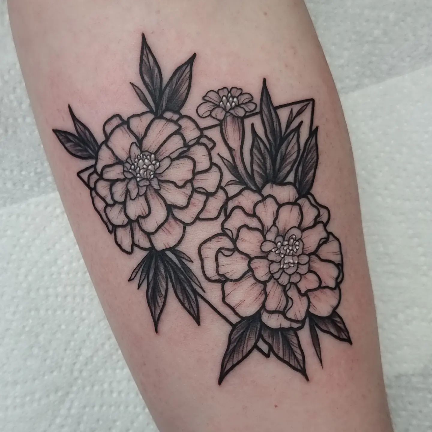 Contorno de tatuaje de caléndula