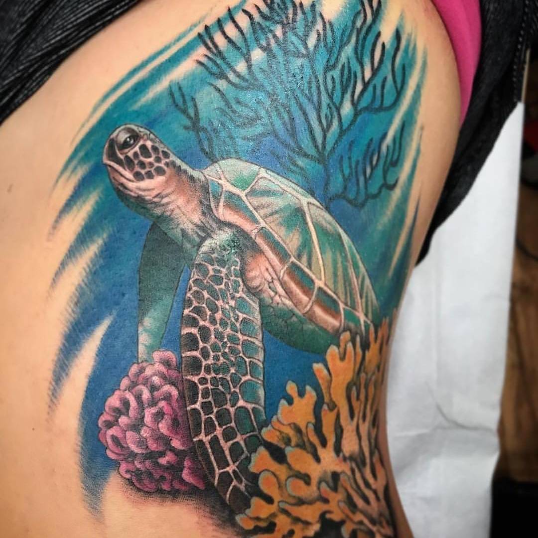 Diseño de Tortuga Marina con Corales