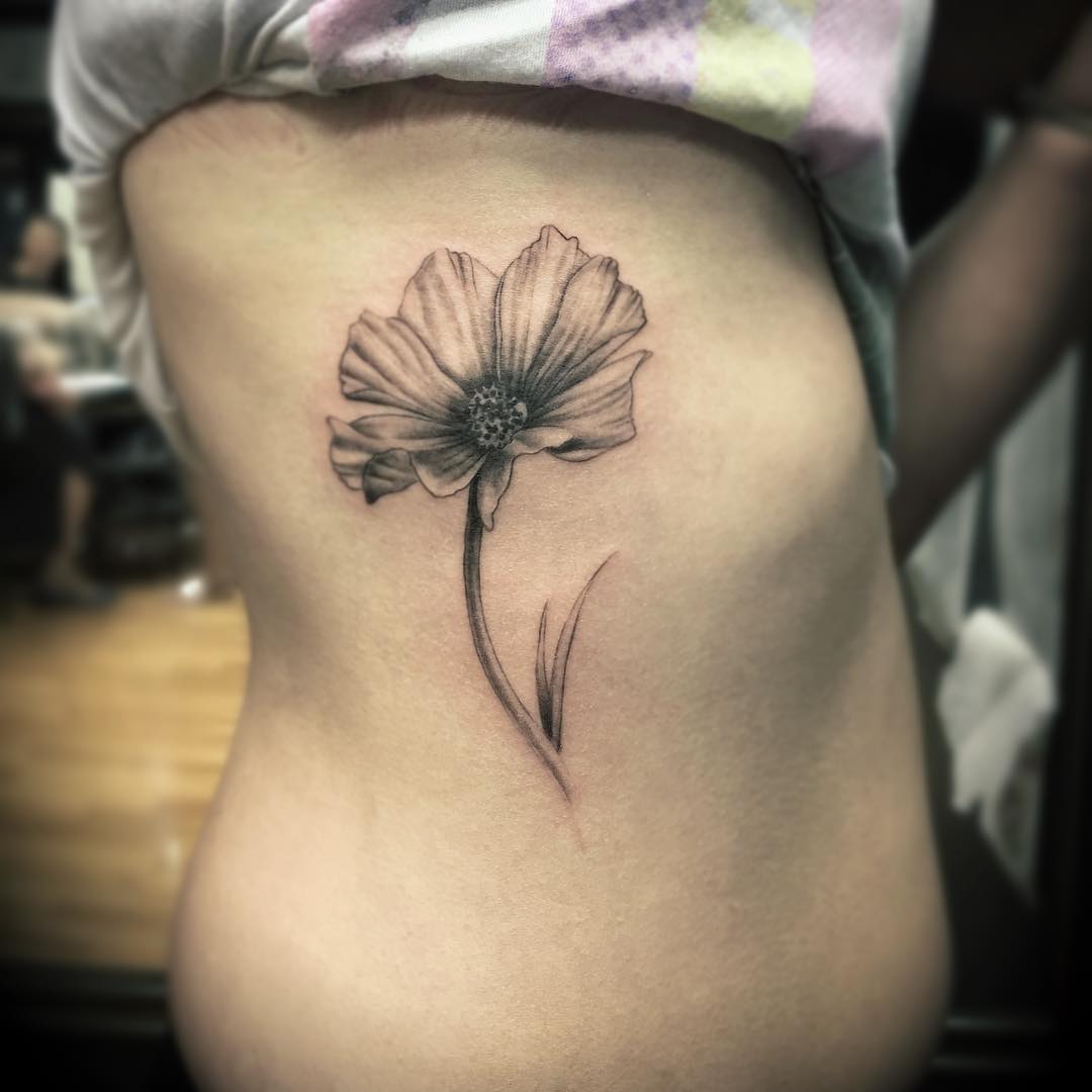 Estómago, flor de cosmos, impresión.