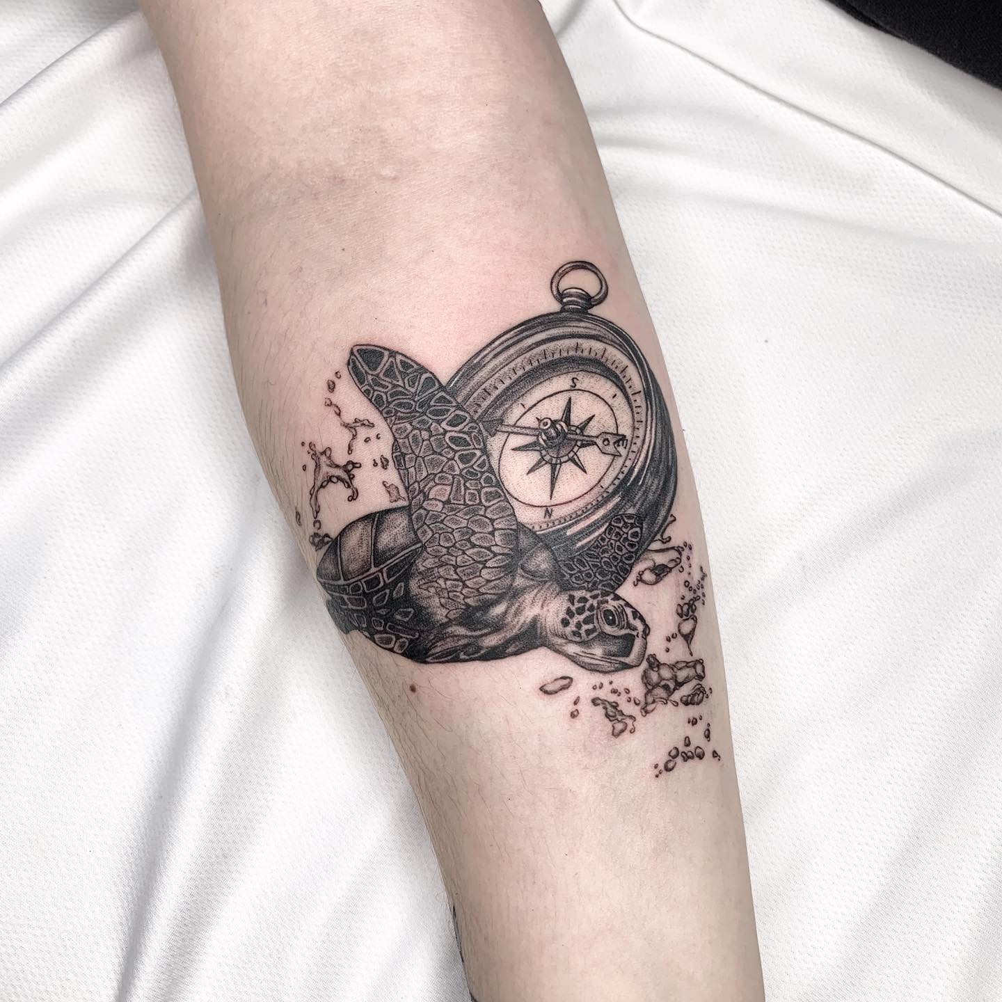 Tortuga marina con tatuaje de brújula