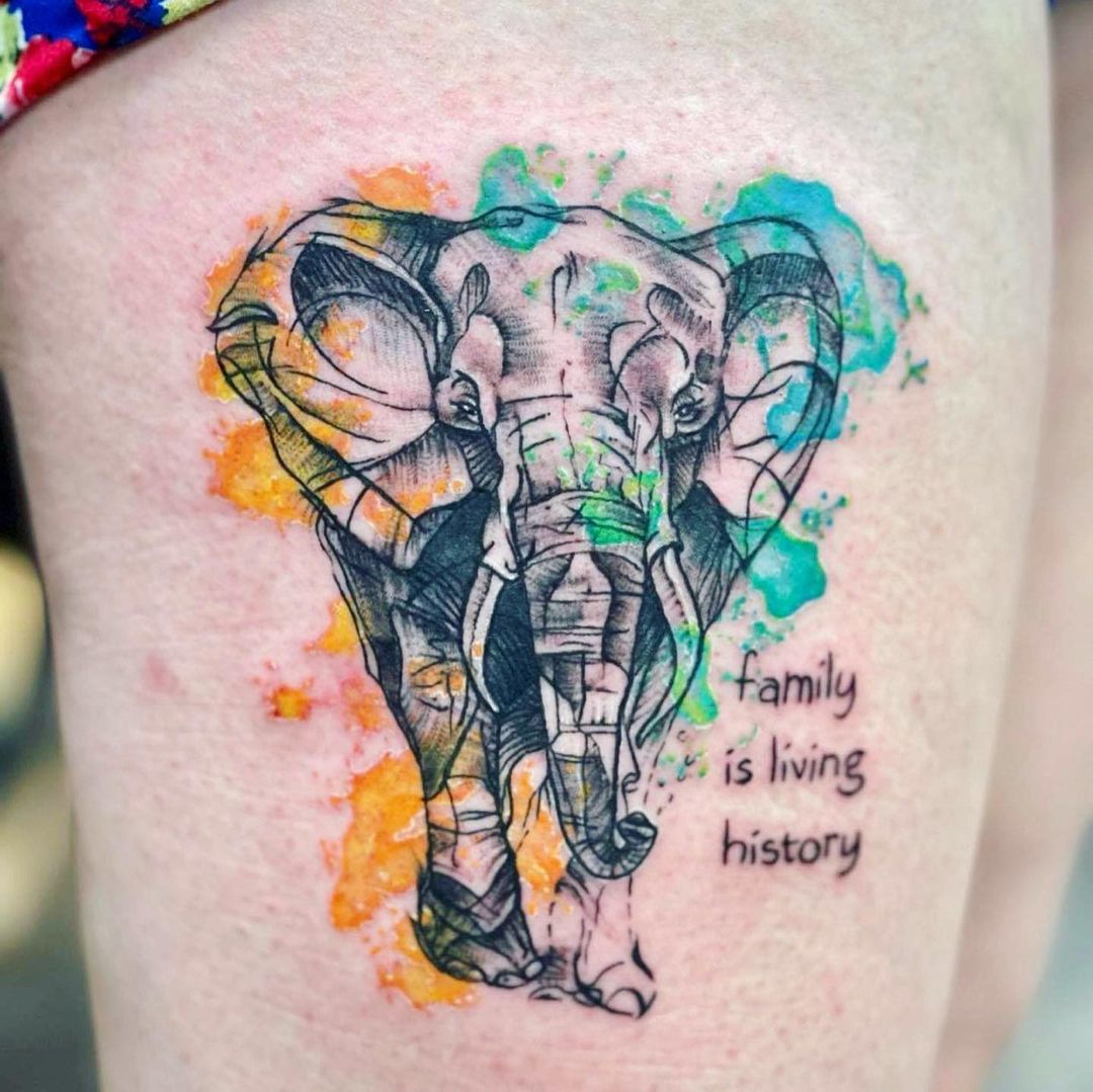 Elefante
