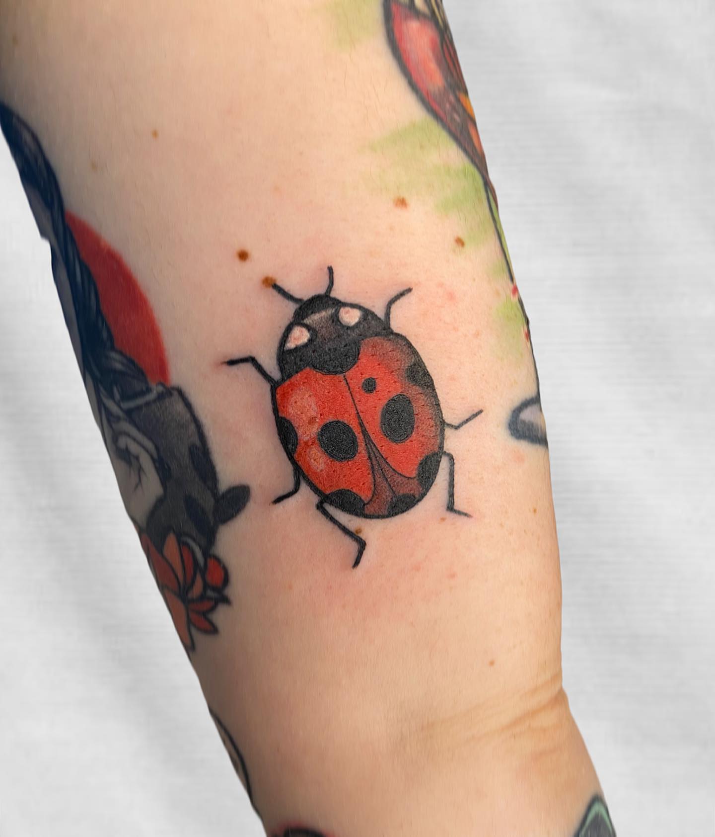 Mariquita pequeño tatuaje para hombres.