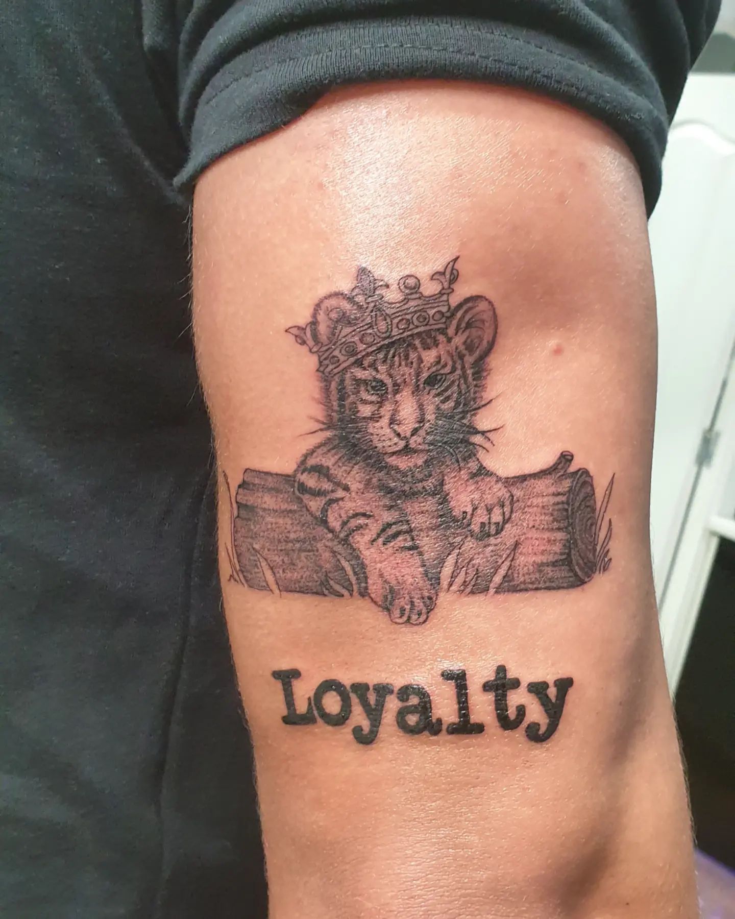 Tatuaje de león pequeño.