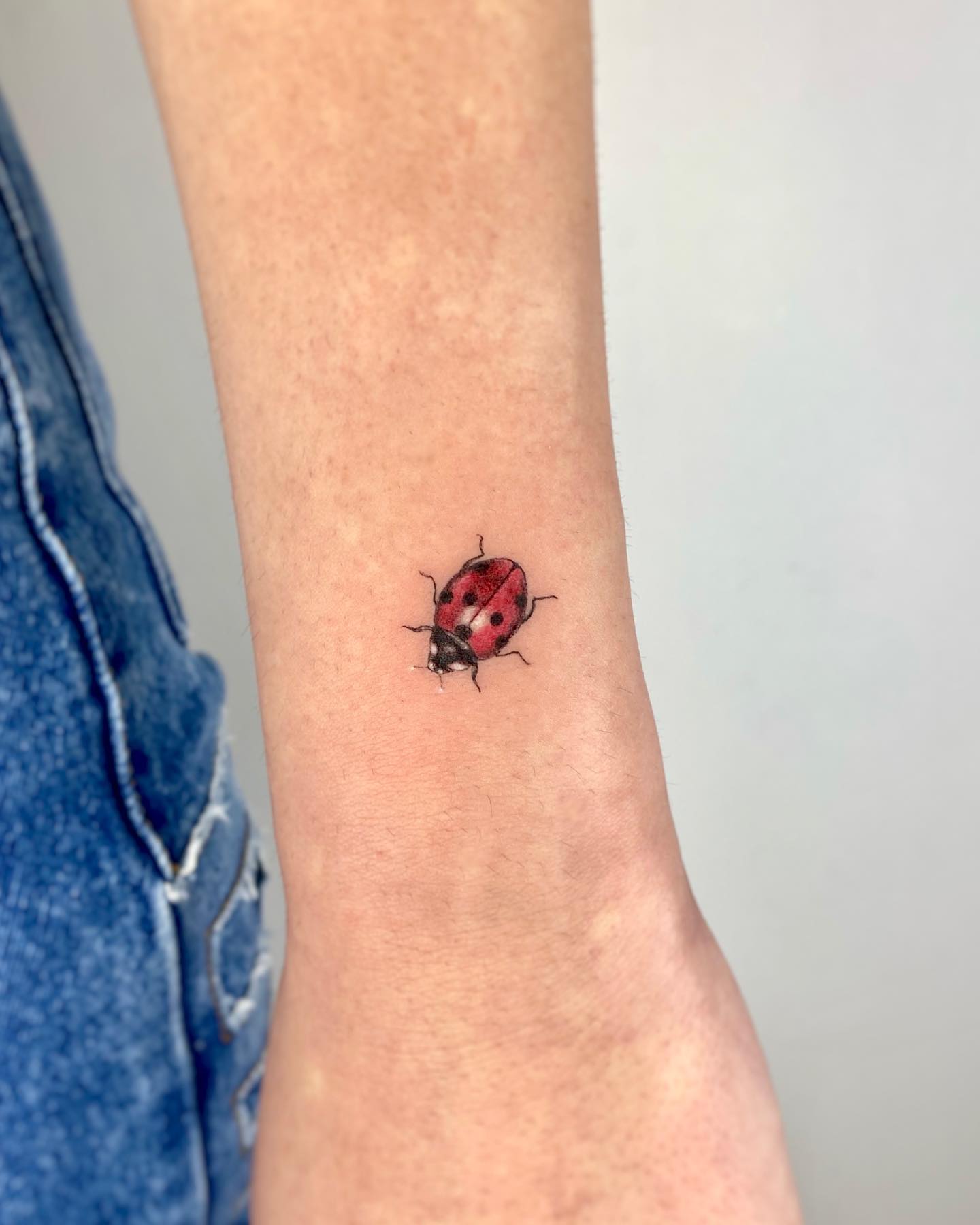 Tatuaje de Mariquita en el Brazo