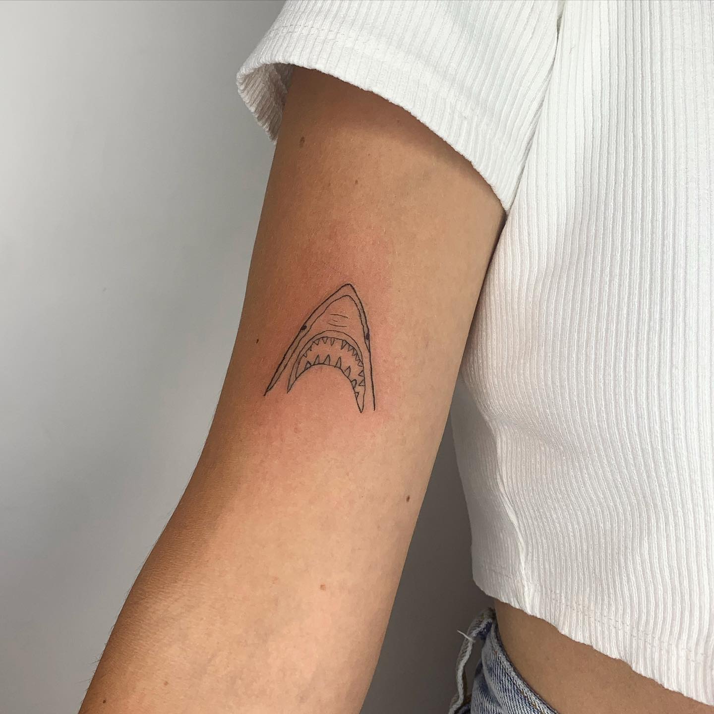 Tatuajes de tiburón: 50 diseños modernos que tienes que ver