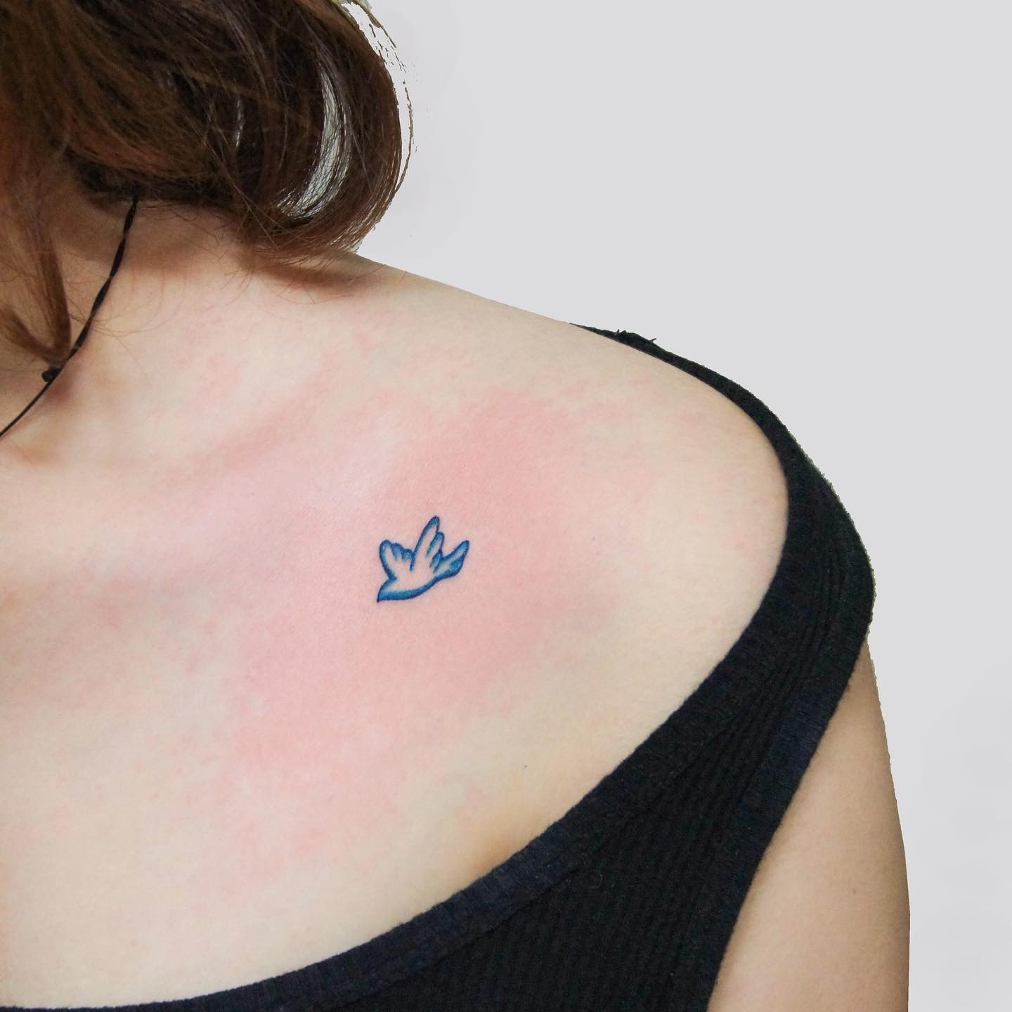 Tatuaje de clavícula de pequeño pájaro.