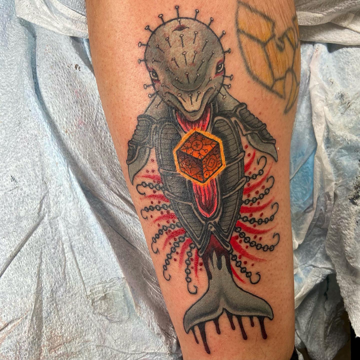 Tatuaje misterioso de delfín.