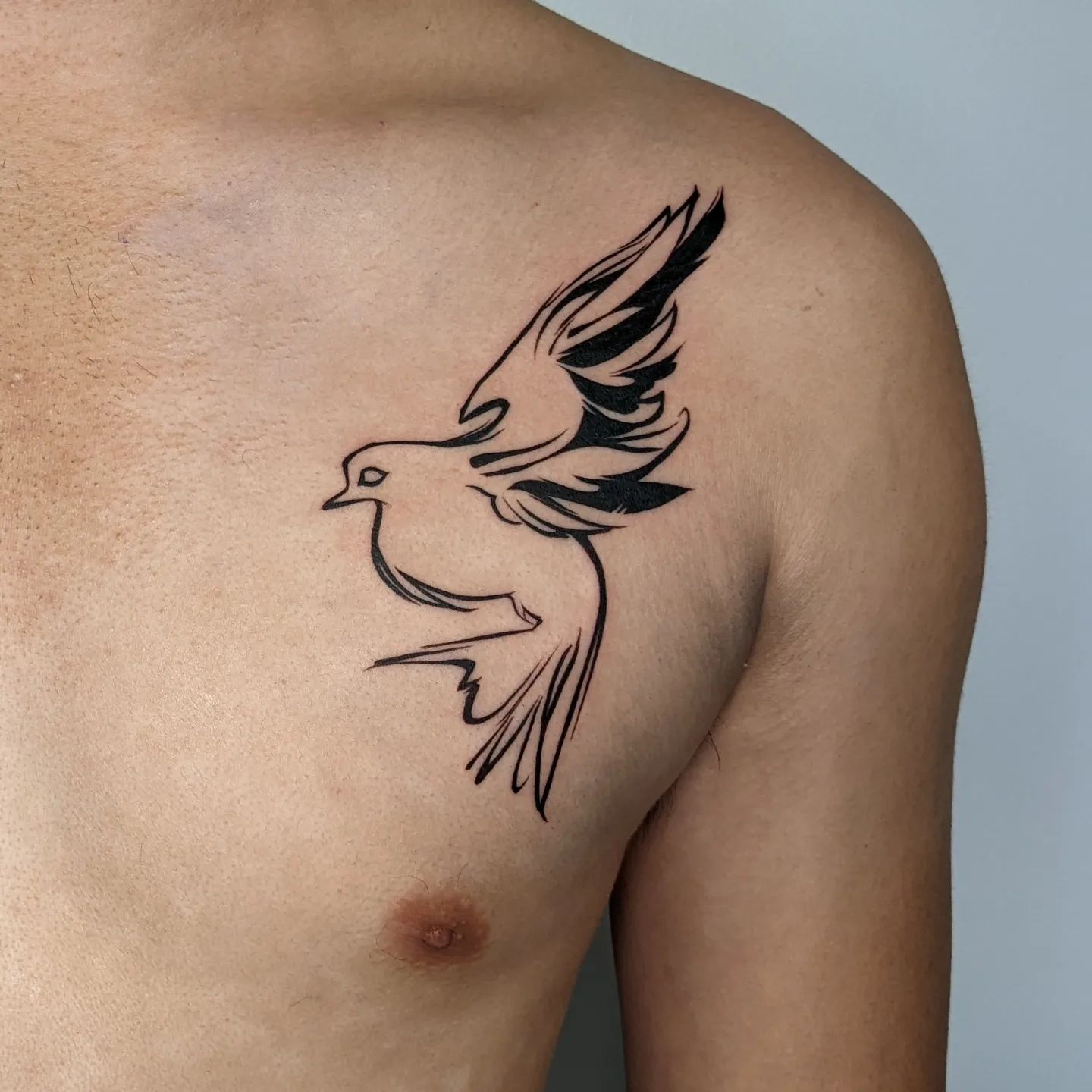 Pecho Paloma Tatuaje Para Hombres