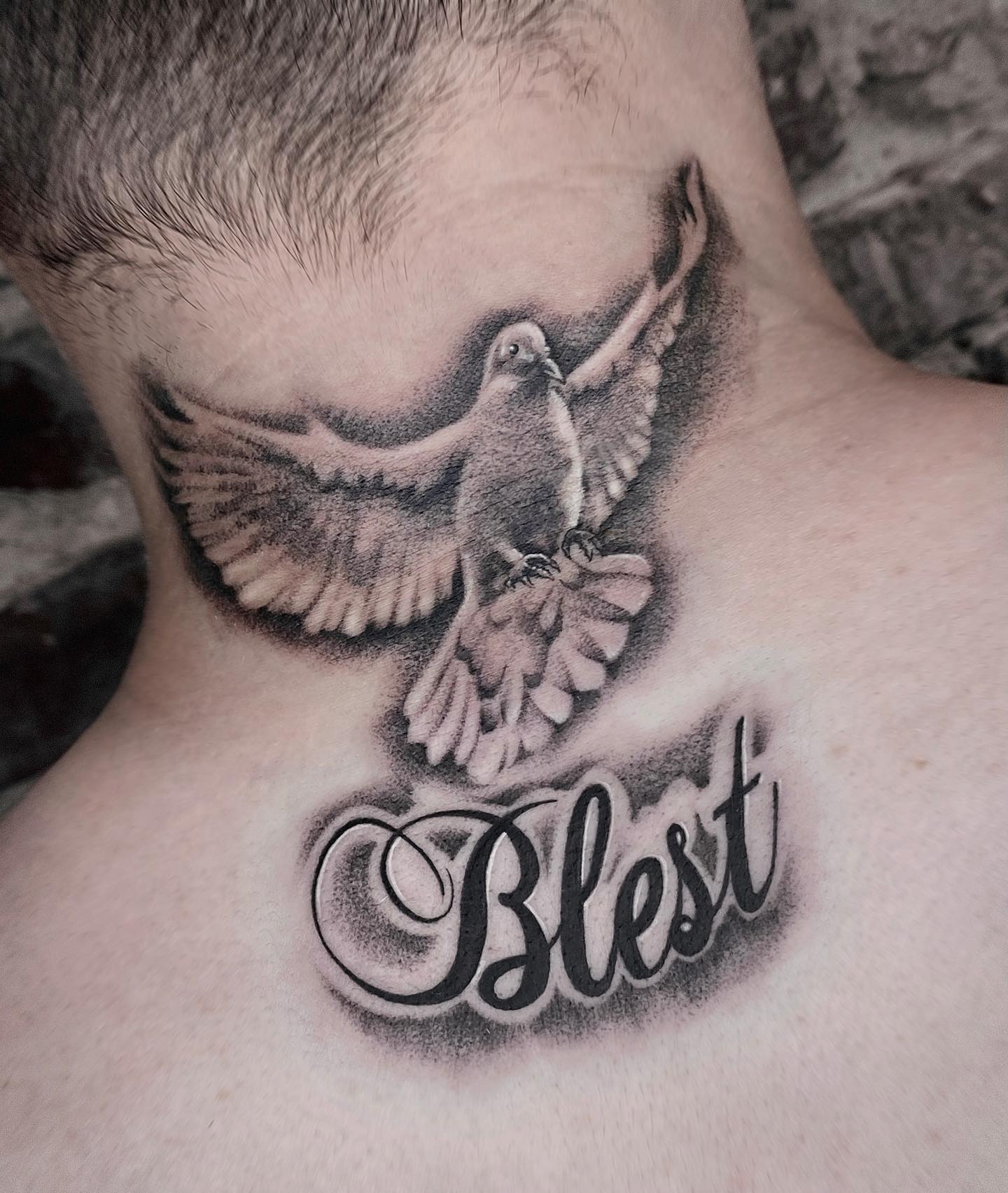 Tatuaje de Paloma de Cuello Grande