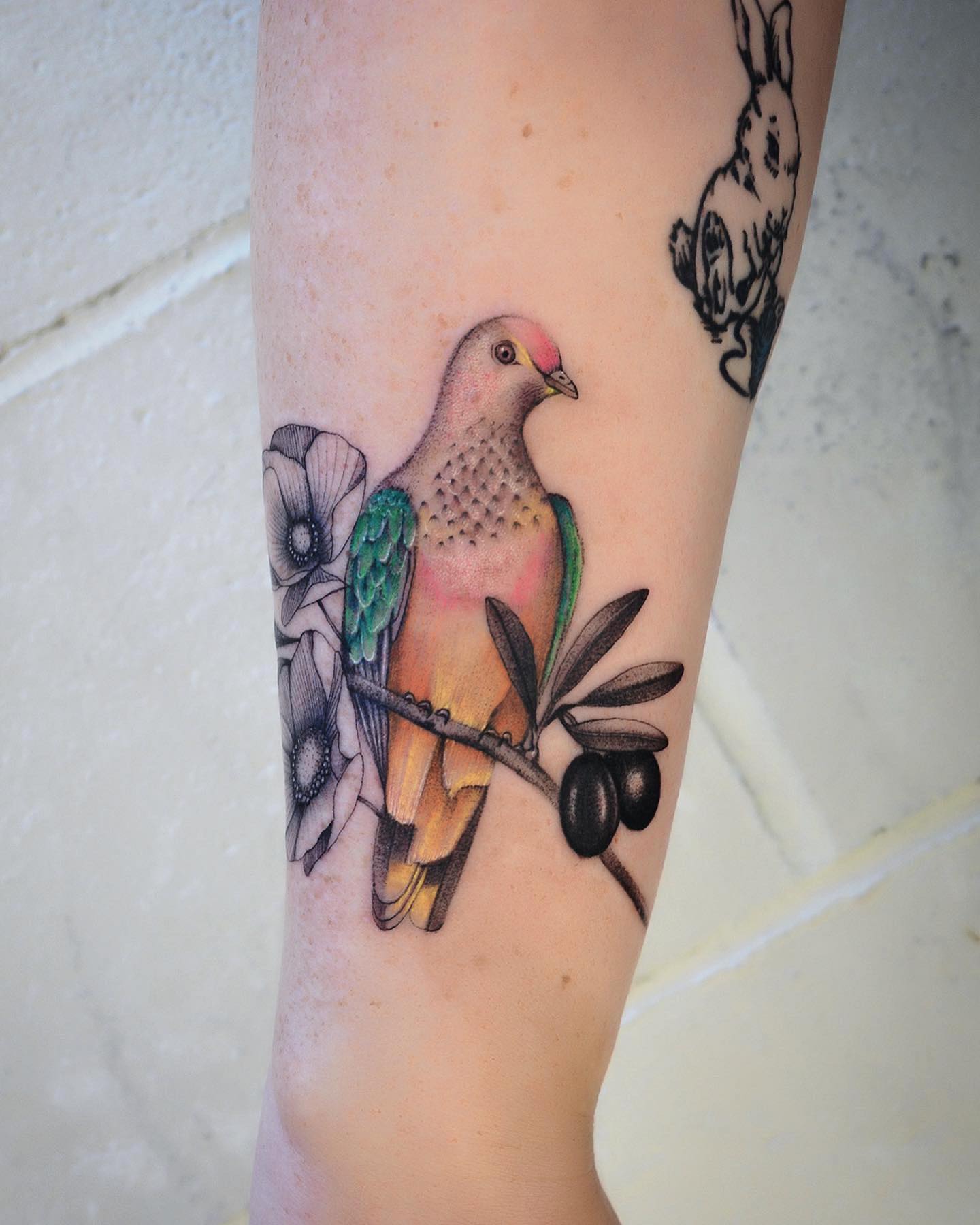 Tatuaje de paloma divertida