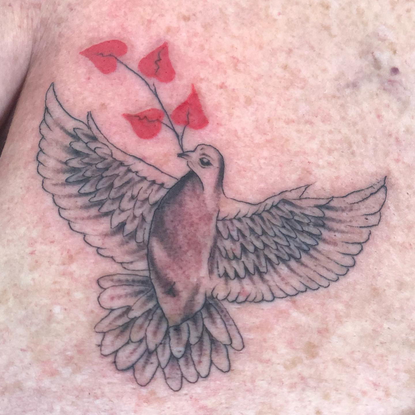 Tatuaje de Paloma Encantadora