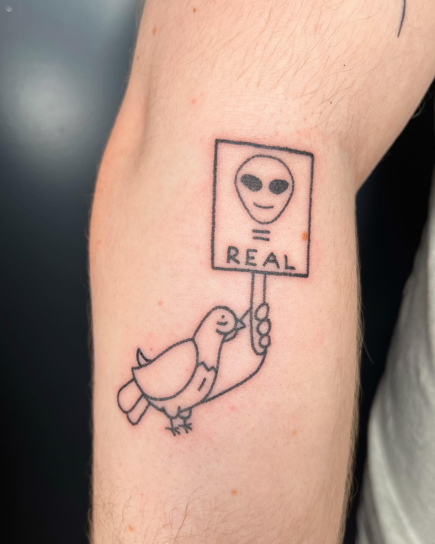Tatuaje divertido de paloma