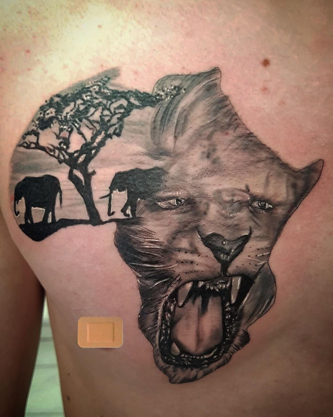 África