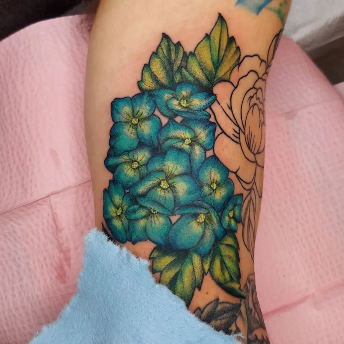 Diseño de tatuaje de hortensia artística