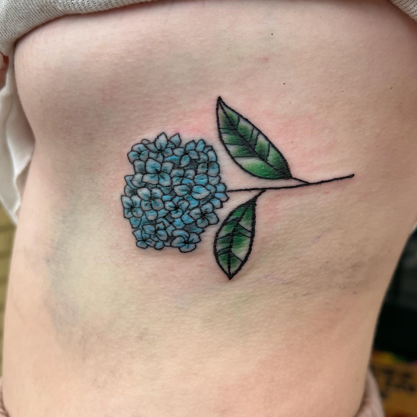 Estómago Hortensia Tatuaje