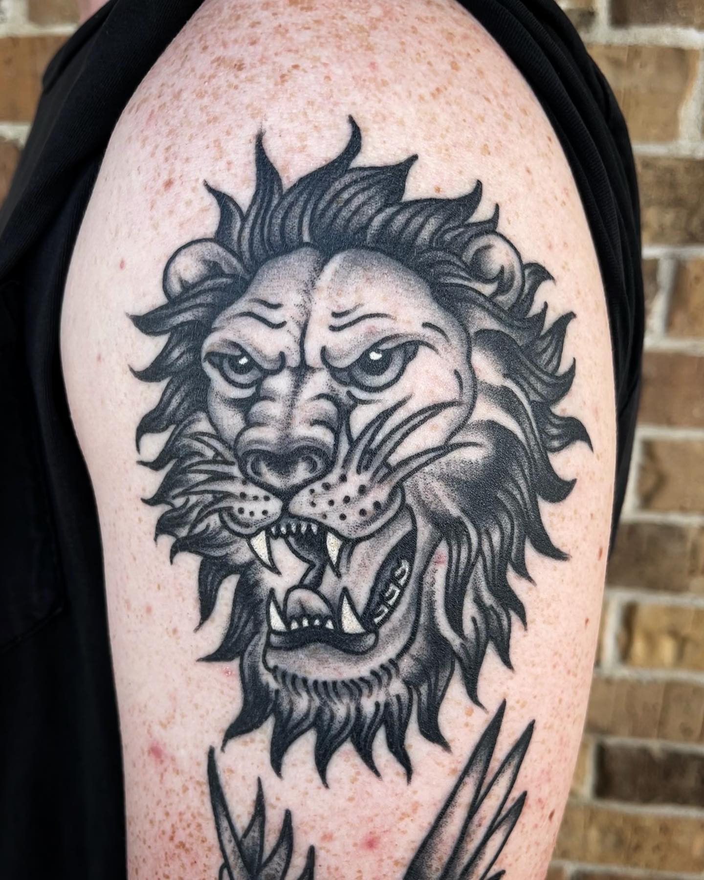 Ferocidad