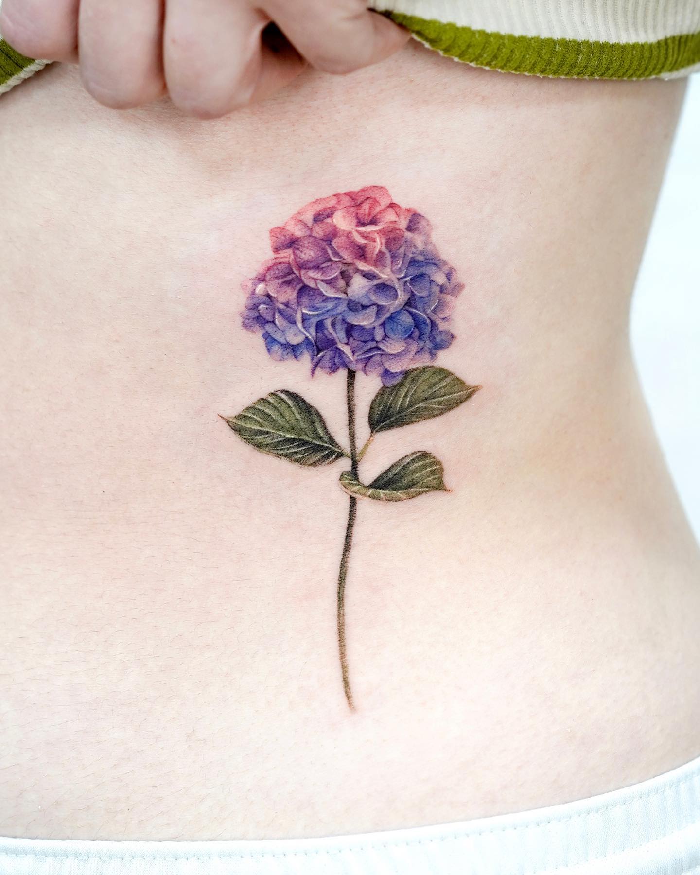 Lado estómago Hortensia Tatuaje