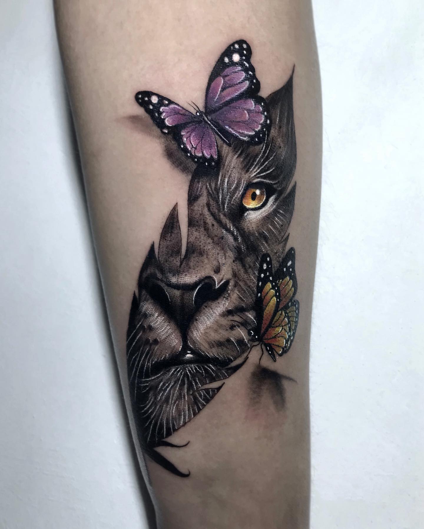 Mariposas