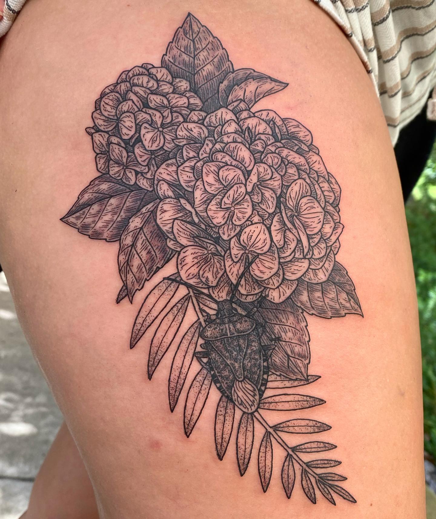 Tatuaje de Hortensia de Muslo Gigante