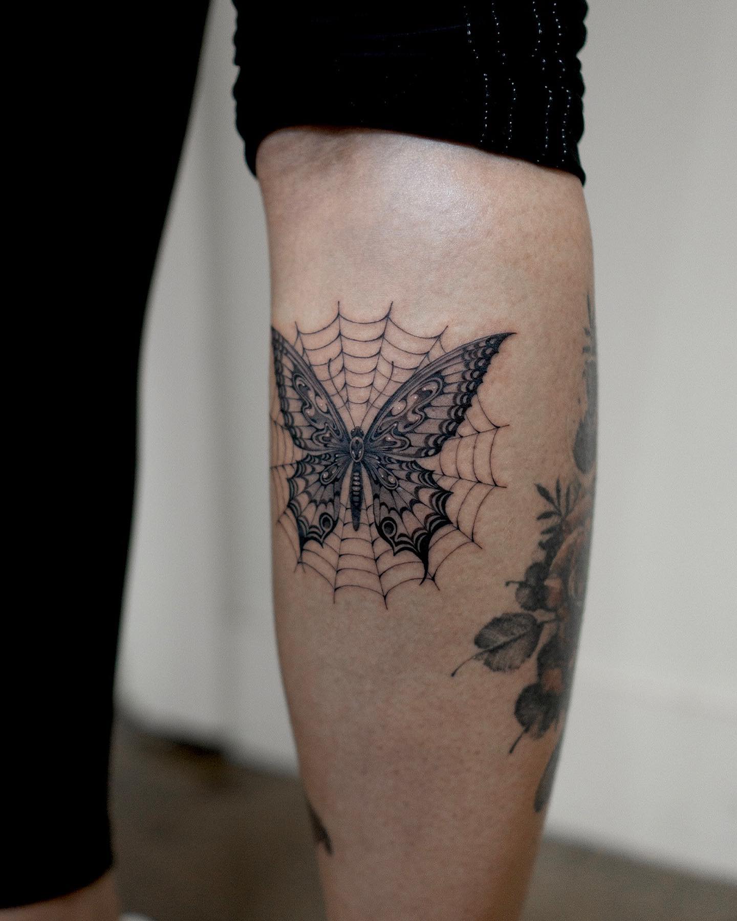Telaraña y Dúo de Mariposas